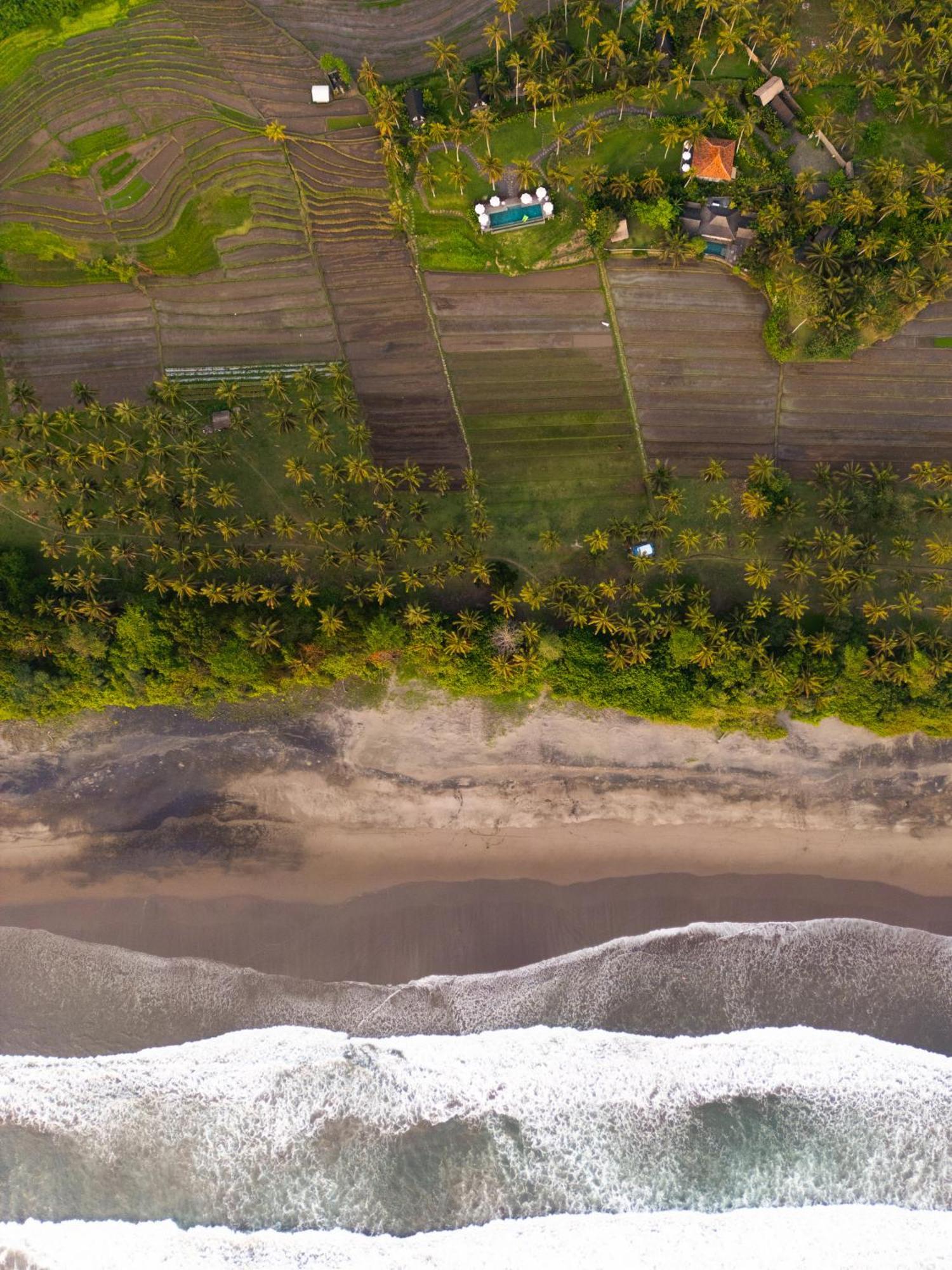 Desa Cabins Balian Екстер'єр фото
