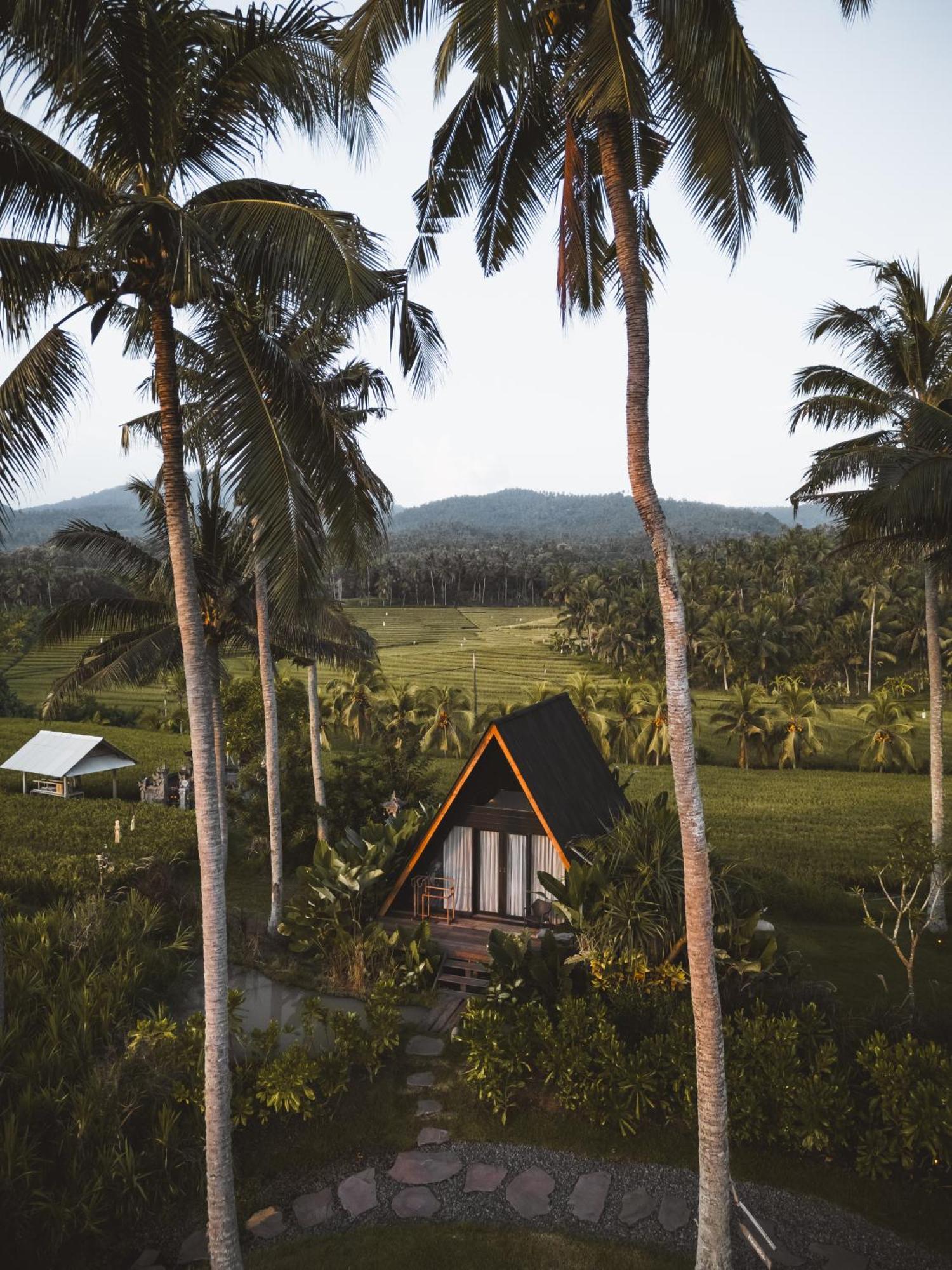 Desa Cabins Balian Екстер'єр фото